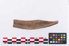 Foto von Beinmessergriffplatte (NHMW-PRAE-002296)